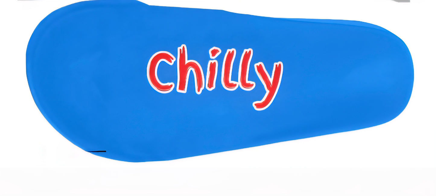 Chilly Willy's Slides